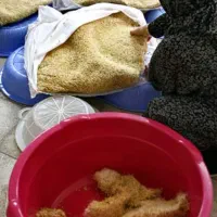 پخت سمنو (تجگی)|خوردنی و آشامیدنی|زهک, |دیوار