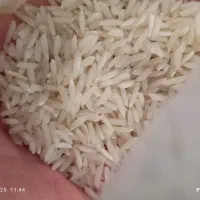 برنج هاشمی تضمینی