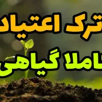 ترک متادون ب2 اپیوم