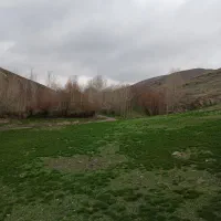 جویای کار سرایداری