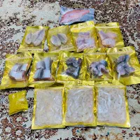 فروش ماهی و میگو ارسال از جزیره قشم