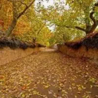 فروش-زمین