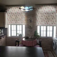 ۲ عدد پرده زبرا ۳ بعدی