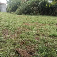 زمین خوش‌موقعیت.سلیمان‌آباد جل چلاسر قیمت استثنایی