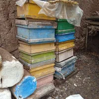 قوطی و طبقه