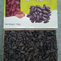 خرمای ربی بلوچستان