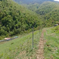 زمین مسکونی ییلاقی سوادکوه