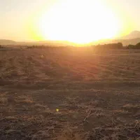 زمین کشاورزی و باغی۱۹۰۰متری چسب تویسرکان|فروش زمین و ملک کلنگی|تویسرکان, |دیوار