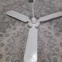 پنکه سقفی|پنکه و تصفیهکنندهٔ هوا|بندرعباس, |دیوار