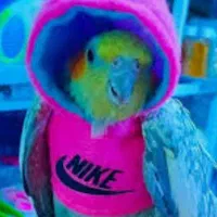 هودی و پوشک پرنده