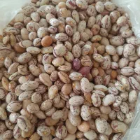 سلام دوستان حبوبات خوشپخت و تازه لرستان|خوردنی و آشامیدنی|فولادشهر, فولادشهر|دیوار