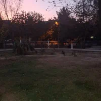 همخانه-میشم