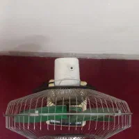 پنکه قدیمی سالم|پنکه و تصفیه‌کنندهٔ هوا|یزد, |دیوار