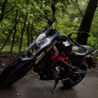 بنلی ۳۰۰ نیوفیس