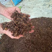 کشمش گله آفتابی کاشمر بدون گوگرد آفتابی خالص