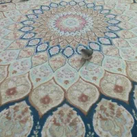 فنچ نوک نقره ای|پرنده|تهران, ستارخان|دیوار