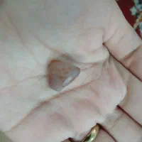 ۳عددسنگ به فروش میرسد کلان یک ملیون