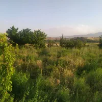 زمین کشاورزی با مجوز دام و طیور