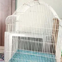 قفس بزرگ