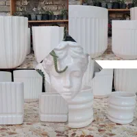 گلدان و گل ارزان