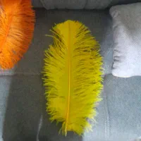 پر علامت|صنایع دستی و سایر لوازم تزئینی|تهران, هفده شهریور|دیوار