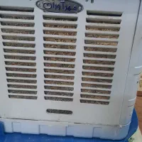 کولر ۳۵۰۰|کولر آبی|مشهد, شهرک امام هادی (شهرک غرب)|دیوار