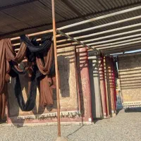 قالیشویی خاطره شهریار|خدمات نظافت|وحیدیه, |دیوار