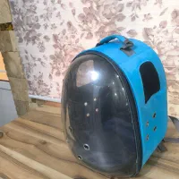 پامرین|سگ|قزوین, |دیوار