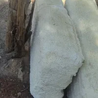 جوجه مرغ عشق