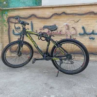 دوچرخه ویوا ۲۶