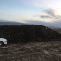 کود دامی فریمان