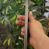 S23 Fe سامسونگ Samsung|موبایل|قم, پردیسان|دیوار