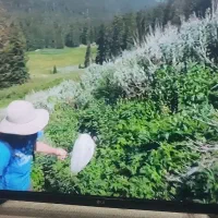 تلویزیون ۴۳ اینچ الجی|تلویزیون و پروژکتور|قم, علی آباد|دیوار