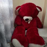 عروسک تدی بزرگ