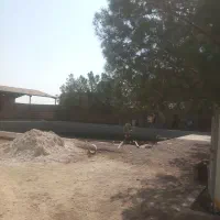 زمین کشاورزی جیلان اباد|فروش دفتر صنعتی، کشاورزی، تجاری|اصفهان, قهاب جنوبی|دیوار
