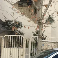 دزاشیب 302 متر بر 12 شمالی