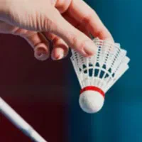 همبازی بدمینتون