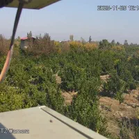 کارگر باغبانی