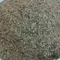 فروش آویشن تازه کوهی