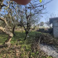 زمین-لاهیجان-سرشکه