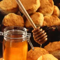 عسل تغذیه