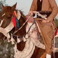 اسب نریان ۵ساله|اسب و تجهیزات اسبسواری|ارومیه, |دیوار