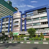 استخدام نیروی سالم