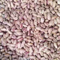 کشمش گردو بادام|خوردنی و آشامیدنی|تویسرکان, |دیوار