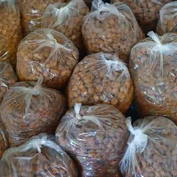 الو کبرای بخارا خرید مستقیم کشاورز|خوردنی و آشامیدنی|مشهد, موسوی قوچانی|دیوار