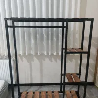 رگال