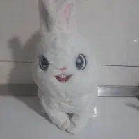 عروسک|اسباب‌بازی بچه|قم, سالاریه|دیوار