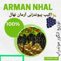 طراحی بنر تبلیغاتی برای معرفی افراد مهم|خدمات رایانه‌ای و موبایل|خوی, |دیوار