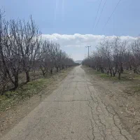10-هکتار-باغ-مناسب-سرمایه-گزاری-دماوند
