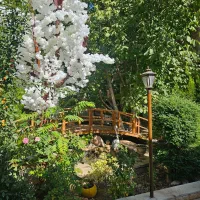 نیازمند نیرو جهت ظرفشو در رستوران